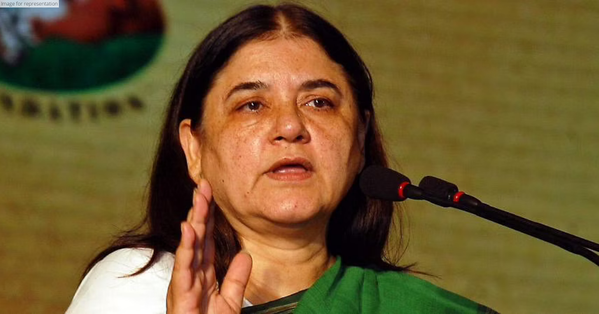 Delhi HC issues summon to Maneka Gandhi in defamation suit filed by veterinary association